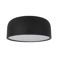 Светильник потолочный LED Axel 10201/350 Black LOFT IT белый чёрный 1 лампа, основание чёрное в стиле современный 
