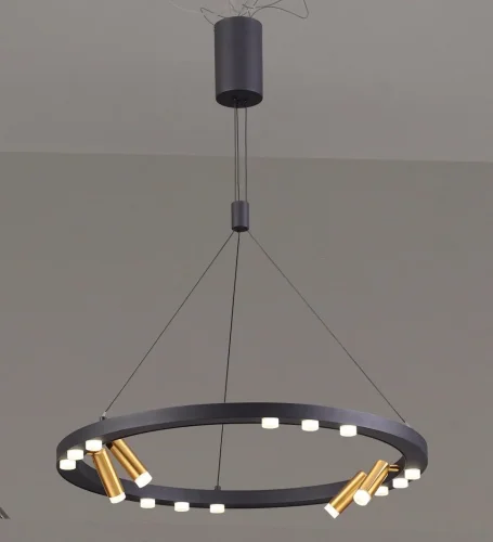 Светильник подвесной LED Beveren 3918/48L Odeon Light золотой на 1 лампу, основание чёрное в стиле современный хай-тек фото 2