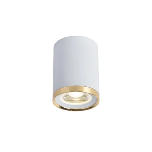 Светильник накладной LED Prakash 3085-1C Favourite белый 1 лампа, основание белое в стиле современный круглый