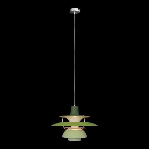 Светильник подвесной Floret 10113 Green LOFT IT зелёный 1 лампа, основание белое в стиле современный  фото 2