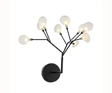 Бра Ветта 07521-9,19(21) Kink Light прозрачный 9 ламп, основание чёрное в стиле модерн флористика ветви