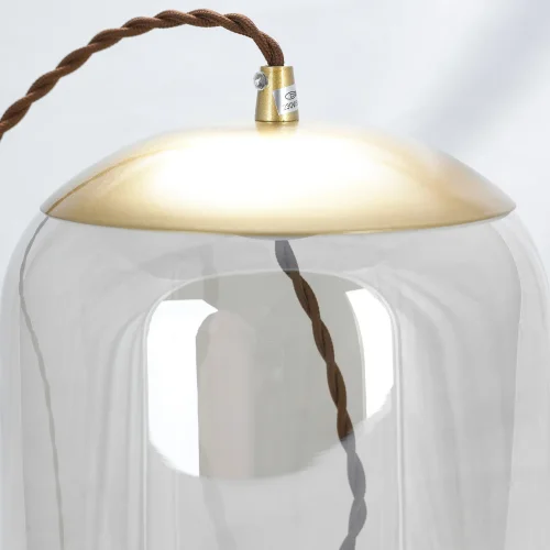 Светильник подвесной LED Acquario LSP-8355 Lussole прозрачный 1 лампа, основание матовое золото в стиле современный выдувное фото 4