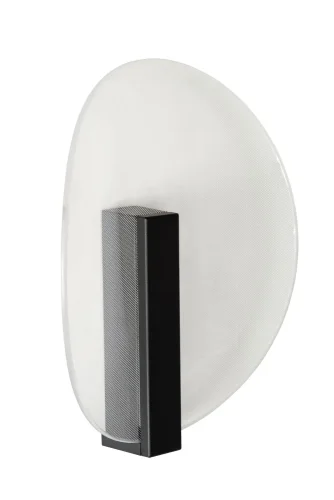 Настенный светильник LED Laredo 27818/09/30 Lucide уличный IP54 чёрный 1 лампа, плафон прозрачный белый в стиле современный LED фото 2