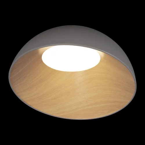 Светильник потолочный LED Egg 10197/500 Grey LOFT IT белый 1 лампа, основание серое в стиле современный  фото 2