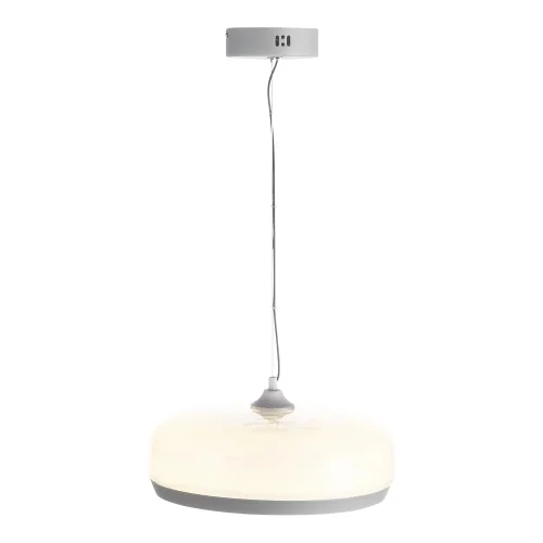 Светильник подвесной LED Ripple SL6014.503.01 ST-Luce белый 1 лампа, основание серое в стиле хай-тек современный  фото 3
