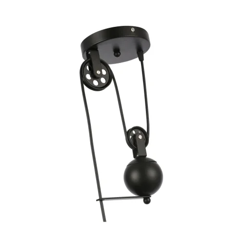 Светильник подвесной лофт Esperazza SLE120503-01 Evoluce чёрный 1 лампа, основание чёрное в стиле лофт  фото 3