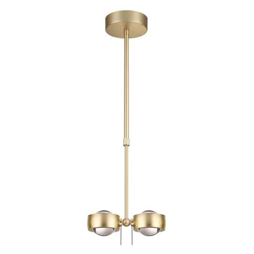 Светильник подвесной LED Ottico 3874/20L Odeon Light матовый золото на 2 лампы, основание матовое золото в стиле хай-тек 