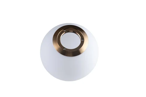 Светильник подвесной Glob LOFT2595-A LOFT IT белый 1 лампа, основание медь в стиле современный шар фото 2