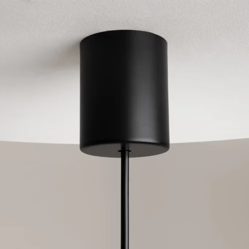 Светильник подвесной LED The Sixth Sense Z020PL-L6B3K Maytoni белый 1 лампа, основание чёрное в стиле современный  фото 7