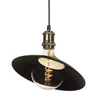 Светильник подвесной лофт LSP-9670 Lussole коричневый 1 лампа, основание бронзовое коричневое в стиле лофт 
