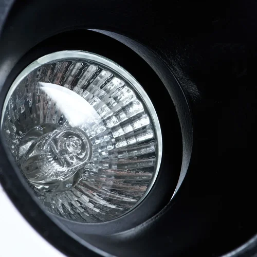 Светильник точечный Taurus A6663PL-1BK Arte Lamp чёрный 1 лампа, основание чёрное в стиле модерн  фото 3