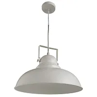 Светильник подвесной лофт Martin A5213SP-1WG Arte Lamp белый 1 лампа, основание белое в стиле лофт 