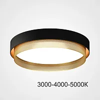 Светильник потолочный MALIA D45 Black Brass Трехцветный свет 223854-23 ImperiumLoft белый на 1 лампу, основание латунь в стиле скандинавский минимализм современный 