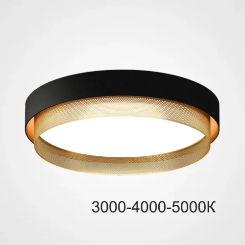 Светильник потолочный MALIA D45 Black Brass Трехцветный свет 223854-23 ImperiumLoft белый на 1 лампу, основание латунь в стиле скандинавский минимализм современный Светильник потолочный MALIA D45 Black Brass Трехцветный свет 223854-23 ImperiumLoft белый на 1 лампу, основание латунь в стиле скандинавский минимализм современный