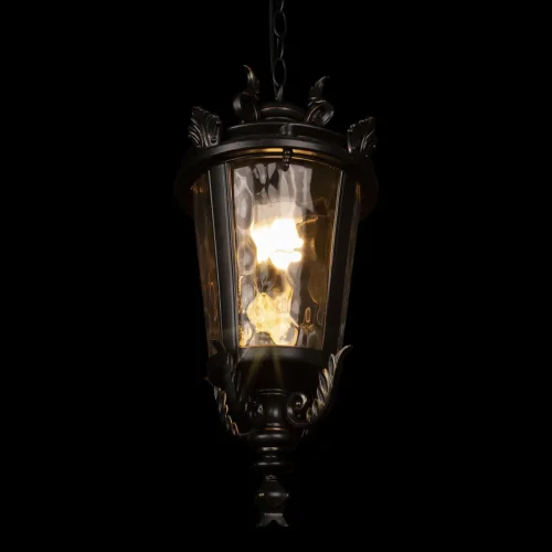 Подвесной светильник Verona 100003P LOFT IT уличный IP55 чёрный 1 лампа, плафон прозрачный в стиле классический E27 фото 4