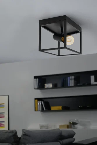 Светильник потолочный лофт Silentina 98331 Eglo чёрный 1 лампа, основание чёрное в стиле лофт  фото 2