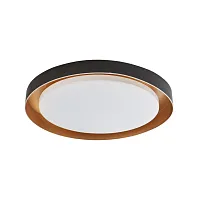 Светильник потолочный LED Vista L 1.13.48 B Arti Lampadari белый на 1 лампу, основание чёрное в стиле современный 