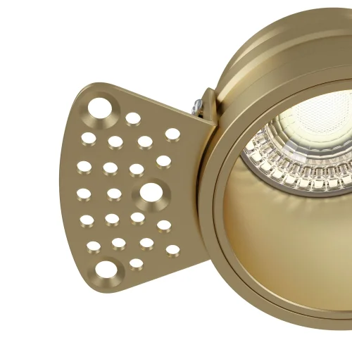 Светильник точечный Reif DL048-01MG Maytoni матовый золото 1 лампа, основание матовое золото в стиле современный хай-тек  фото 3