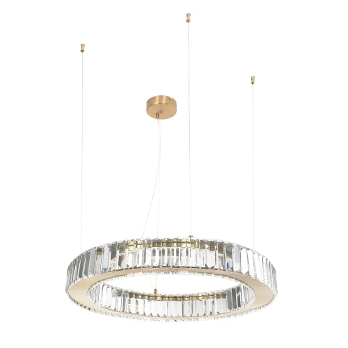Люстра подвесная LED Manor 4195-6P Favourite прозрачная на 2 лампы, основание золотое в стиле классический кольца фото 2