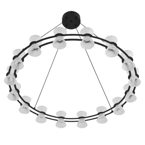 Люстра подвесная LED Vinora 8341/54L Lumion прозрачная на 1 лампу, основание чёрное в стиле минимализм современный хай-тек кольца фото 3