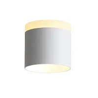 Светильник накладной LED Panaggio ST102.502.09 ST-Luce белый 1 лампа, основание белое в стиле хай-тек круглый