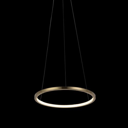 Светильник подвесной LED Ring 10014S LOFT IT золотой 1 лампа, основание золотое в стиле хай-тек кольца фото 6