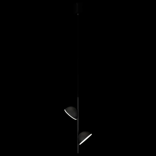 Светильник подвесной LED Mons 10335 Black LOFT IT чёрный 2 лампы, основание чёрное в стиле современный хай-тек  фото 2