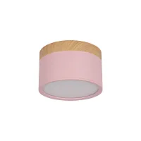 Светильник накладной LED Grape 10162 Pink LOFT IT розовый 1 лампа, основание бежевое розовое в стиле современный круглый