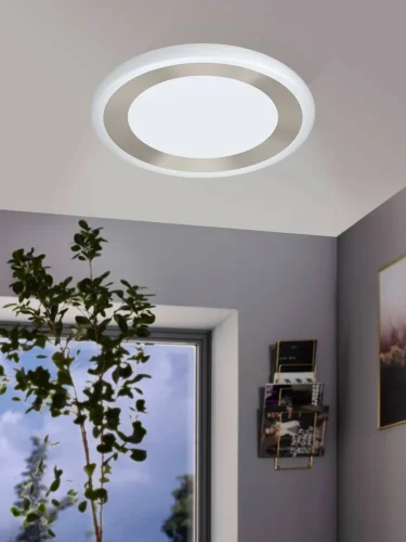 Светильник потолочный LED Ruidera 99108 Eglo белый 1 лампа, основание белое матовое никель в стиле современный  фото 2