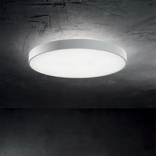 Светильник потолочный LED HALO PL D45 3000K Ideal Lux белый 1 лампа, основание белое в стиле минимализм модерн  фото 2