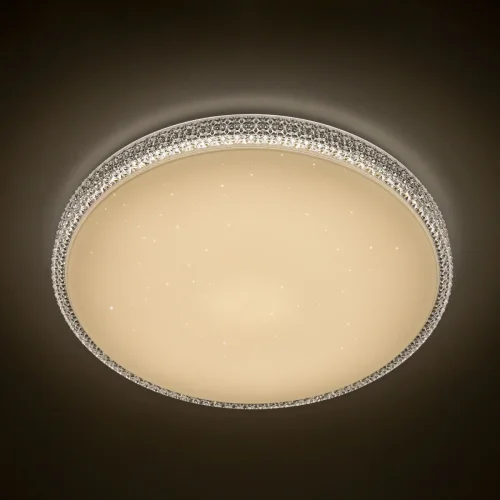 Люстра потолочная LED с пультом Альпина Смарт CL718A100G Citilux белая на 1 лампа, основание белое в стиле современный с пультом фото 15