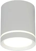 Светильник накладной LED Capurso OML-102429-05 Omnilux белый на 1 лампу, основание белое в стиле современный 