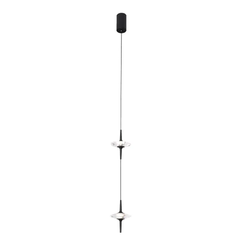 Светильник подвесной LED Zenith SL6231.403.02 ST-Luce прозрачный на 2 лампы, основание чёрное в стиле минимализм 