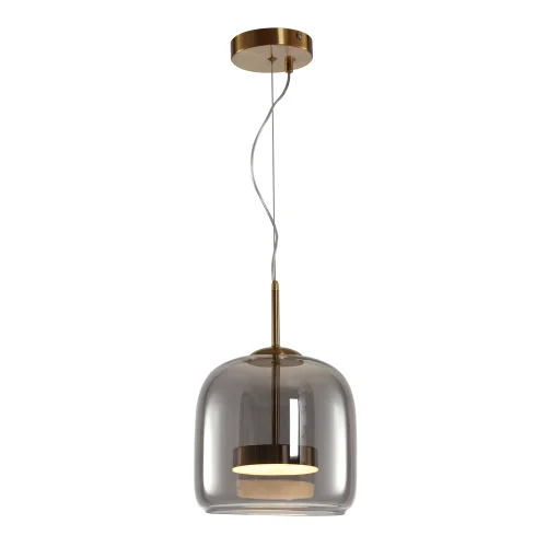 Светильник подвесной LED Padova A2404SP-23SM Arte Lamp серый 1 лампа, основание латунь в стиле хай-тек современный 