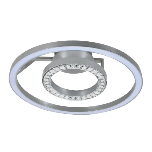 Люстра потолочная LED Sanori 2593-2U Favourite серебряная на 1 лампа, основание серебряное в стиле современный кольца