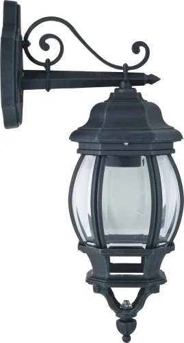 Настенный светильник Paris 1807-1W Favourite уличный IP44 чёрный 1 лампа, плафон прозрачный в стиле кантри классический E27