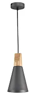 Светильник подвесной лофт Bicones P359-PL-140-C Maytoni серый на 1 лампу, основание серое бежевое в стиле современный 