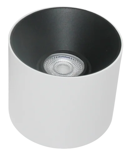 Светильник накладной Alfa LED C064CL-01-25W3K-RD-WB Maytoni чёрный белый 1 лампа, основание белое в стиле хай-тек модерн круглый
