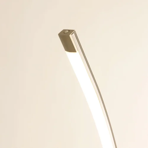 Торшер LED Руди CL804031 Citilux  матовый хром 1 лампа, основание матовое хром в стиле минимализм хай-тек современный
 фото 2