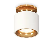 Светильник накладной Techno spot XS7510121 Ambrella light белый 1 лампа, основание золотое в стиле хай-тек современный круглый