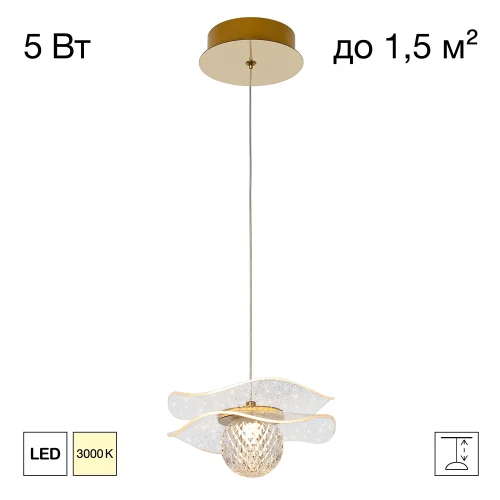 Светильник подвесной LED Signature CL247051 Citilux прозрачный на 1 лампу, основание бронзовое в стиле современный флористика 