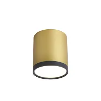 Светильник накладной LED Baral 3082-1C Favourite золотой 1 лампа, основание золотое в стиле современный круглый