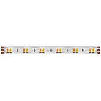 Светодиодная лента 24В 2835 12Вт/м 5м 2700-6000K IP 20 201123 Maytoni цвет LED нейтральный белый холодный белый тёплый белый 6000 2700 4500K, световой поток 1140Lm