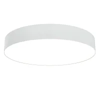 Светильник потолочный LED Zon C032CL-L48W3K Maytoni белый 1 лампа, основание белое в стиле современный хай-тек 