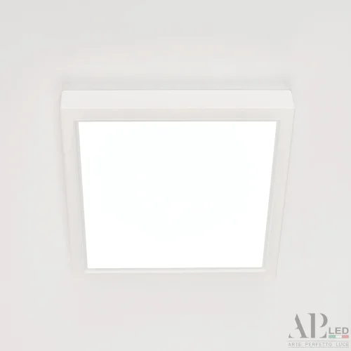 Светильник накладной LED Ingrid 3322.LDF1604M/12W/6K Arte Perfetto Luce белый 1 лампа, основание белое в стиле современный квадратный фото 12