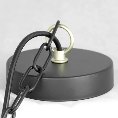 Люстра подвесная Roosevelt GRLSP-8198 Lussole без плафона на 10 ламп, основание чёрное в стиле современный  фото 6