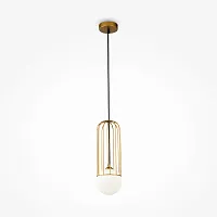 Светильник подвесной Telford P361PL-01G Maytoni белый золотой на 1 лампу, основание золотое в стиле современный 