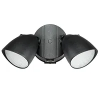 Прожектор LED Diva 374247 Lightstar уличный IP54 чёрный 2 лампы, плафон чёрный в стиле современный LED