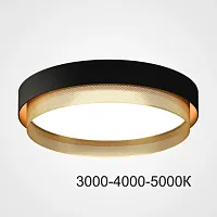 Светильник потолочный MALIA D55 Black Brass Трехцветный свет 223856-23 ImperiumLoft белый на 1 лампу, основание латунь в стиле современный минимализм 