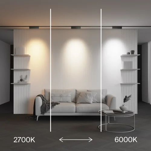 Трековый светильник Точки / Points Rot Exility X (Эксилити Х) 2700-6000K 12Вт 40° Dim Dali2 TR242-4-12WTW-DD2-B Maytoni чёрный для шинопроводов серии Трековая система EXILITY X (Эксилити Х) чёрный фото 11 Трековый светильник Точки / Points Rot Exility X (Эксилити Х) 2700-6000K 12Вт 40° Dim Dali2 TR242-4-12WTW-DD2-B Maytoni чёрный для шинопроводов серии Трековая система EXILITY X (Эксилити Х) чёрный фото 11